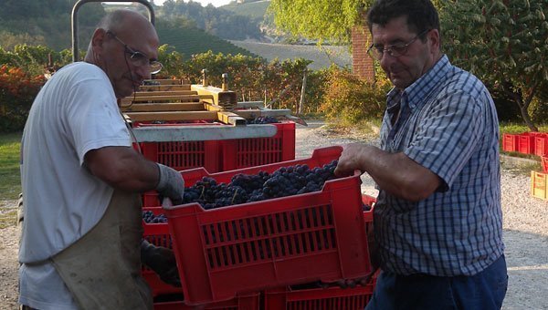 Cascina Disa Elio Sandri